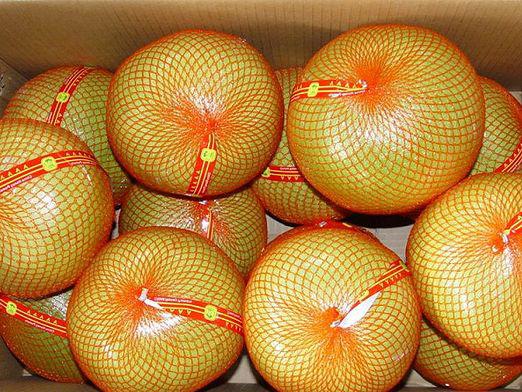 Co je pomelo?