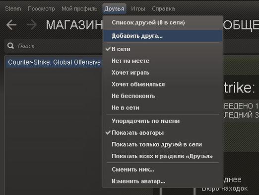 Jak přidám kamarádku Steam?